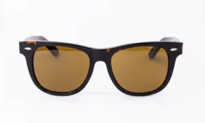 Wayfarer Printed Brown Sunglass
