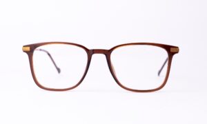 Blake Shining Brown Eyeglasses