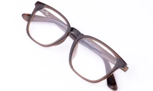 Shining Brown Eyeglasses