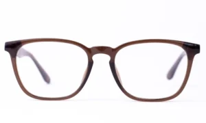 Shining Brown Eyeglasses