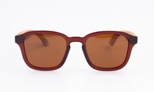 Mithila Shining Brown Sunglasses