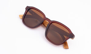 Mithila Shining Brown Sunglasses