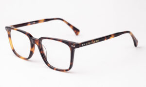 Animal Printed Square