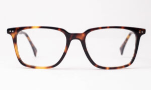 Animal Printed Square