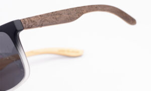 Matte Transparent Black Sunglass