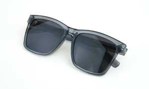 Limitless Transparent Grey Sunglass