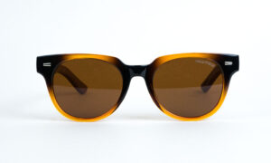 Chitwan Brown Polarized Sunglass