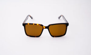 Ross Abstract Brown Sunglasses