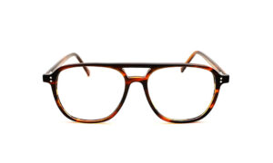 Limitless Double Bar Tiger Eyeglass