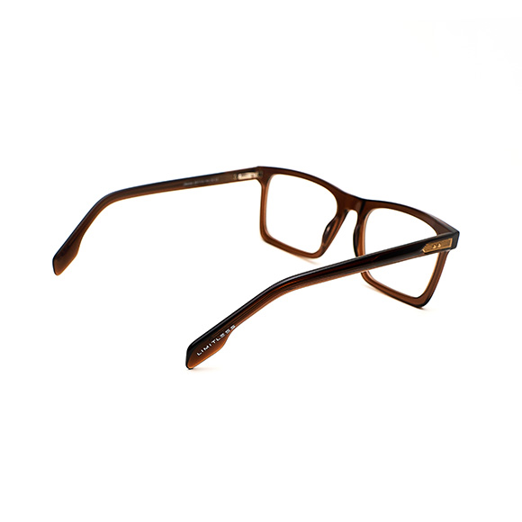 Brown Shine Square Eyeglass